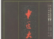 《中医大辞典》中医学术的综合性辞书 李经纬[pdf]
