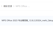 【迅雷/夸克】【PC端】WPS Office 2023 专业精简版 v12.8.2.20324