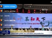 全球TV v8.0
