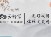 云舒写小学高分作文必会成语