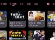 BV 哔哩哔哩第三方TV版 v0.2.10 支持动态 杜比视界