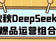 秋秋DeepSeek+爆品运营组合