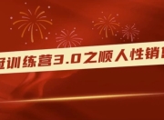 销冠训练营3.0之顺人性销售法