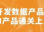 开发数据产品+AI产品通关上岸