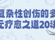 复杂性创伤的多元疗愈之道20讲