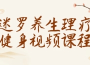 迷罗养生理疗健身视频课程