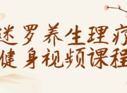 迷罗养生理疗健身视频课程