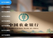 小羊电视 v1.0.0 4k+央视+地方+卫视+直播