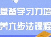 恩爸学习力培养六步法课程