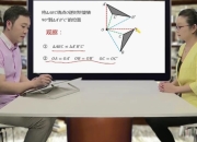 初中数学双人同步完整课程