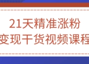 21天精准涨粉变现干货视频课程