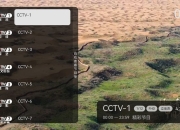 电视直播 v1.0.2.99 央视+地方+卫视