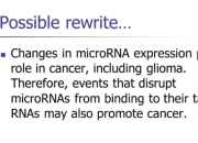 Standford：SCI Writing 斯坦福大学：SCI写作课程