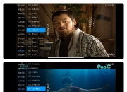 飞扬直播v8.8.8，汇集了央卫视、地方以及港澳台等频道