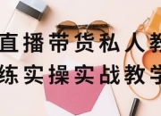 直播带货私人教练实操实战教学