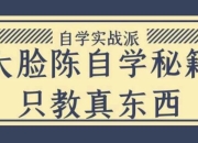 大脸陈自学秘籍只教真东西