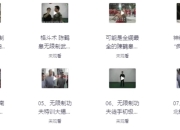 陈鹤皋“无限制格斗”实战训练视频