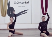 美式空中舞韵中高级 赵思奇 视频+送笔记