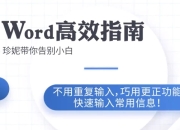 Word高效工作指南教程
