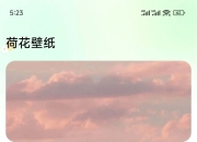 荷花壁纸、凤壁纸App，让我这个壁纸控爱不释手