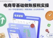 电商零基础做账报税实操快速上手，从0-1学会套账建立，做账准备，企业税务申报