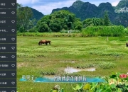 宽带直播、钻石TV、炫彩电视、星火TV，4款电视直播App