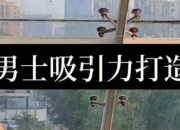 男士吸引力打造