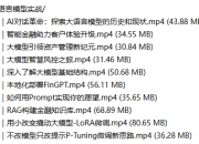金融领域大语言模型实战