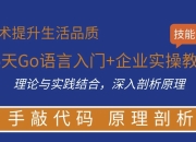 16天Go语言入门+企业实操教程