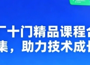 大厂十门精品课程合集 助力技术成长