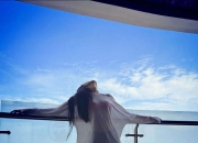 Photoroom专业版，抠图、设计、创意一站式搞定