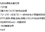 任鸟飞逆向课程合集无密