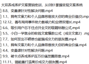 大双养成系IP文案营销密训，从0到1掌握变现文案系统