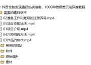 抖音全新变现路径实战指南，1000种信息差玩法深度教程