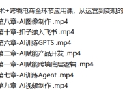 AI技术+跨境电商全环节应用课，从运营到变现的全指南
