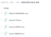 经典车载怀旧音乐 合集整理