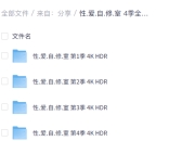 【豆瓣9.2必看榜】性爱自修室 4季全 4K HDR 中字内嵌字幕【195GB】