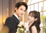 【小白短剧】热门付费短剧资源分享2025年11月1日 81部