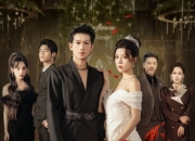 【小白短剧】热门付费短剧资源分享2025年11月20日 74部