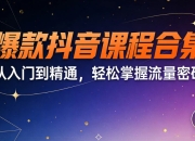 抖音付费课程合集【150GB】