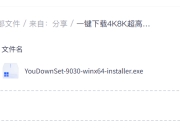 一键下载4K8K超高清视频，支持1000+视频网站