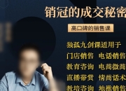 李思邑-实战派销售视频课 独孤九剑4套全集课程